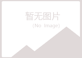 白银平川浮夸能源有限公司